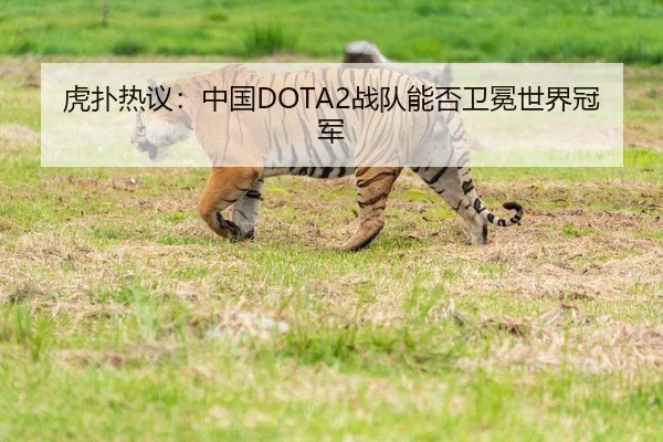 虎扑热议：中国DOTA2战队能否卫冕世界冠军